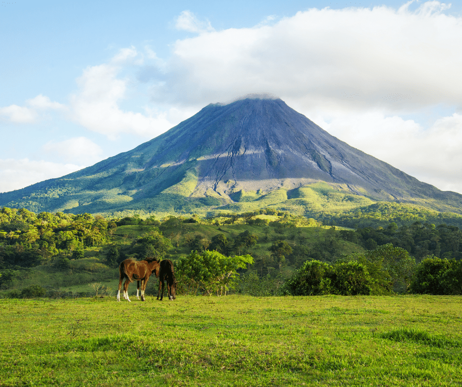 Horses at the base of Arenal Volcano