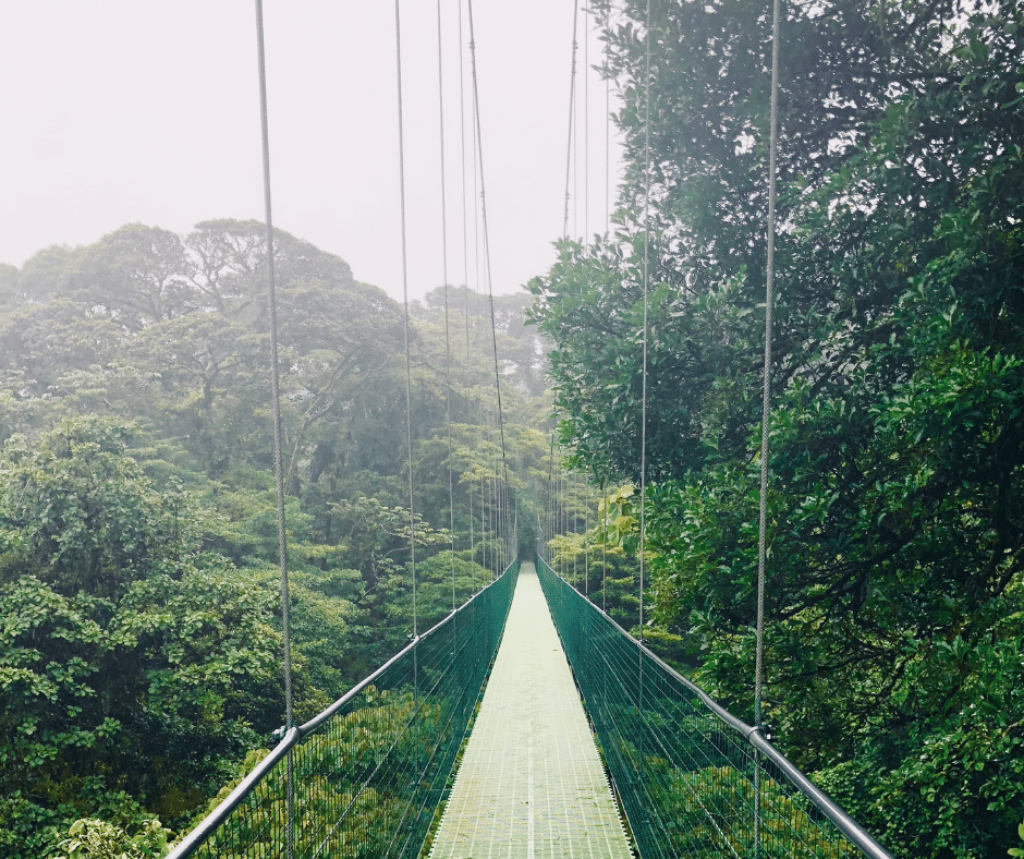 The Ultimate Guide to Costa Rica in July Weather, Animals, and Activities