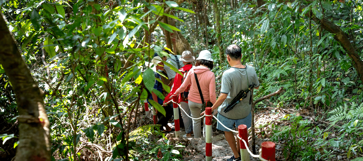 People walking in the jungle in Costa Rica